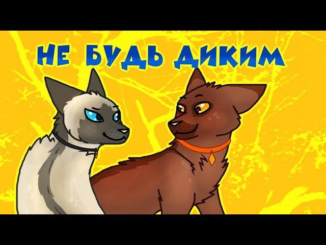 CatWar | Гайд | Как стать домашним