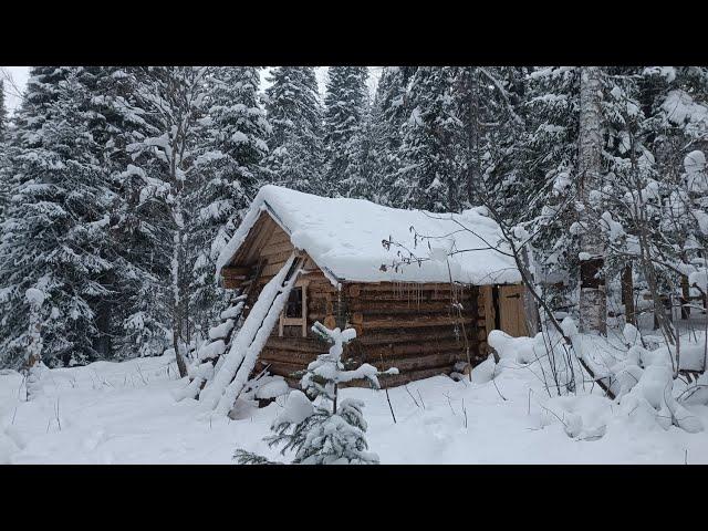 ЖИВУ В ТАËЖНОЙ ИЗБЕ. ВНЕЗАПНО НАКРЫЛА СНЕЖНАЯ БУРЯ. ПОВСЕДНЕВНЫЕ ТАËЖНЫЕ ХЛОПОТЫ В ЗИМОВЬЕ.