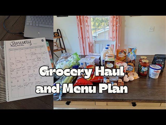 First Grocery Haul and Menu Plan of 2025! Working on a Freezer Challenge!