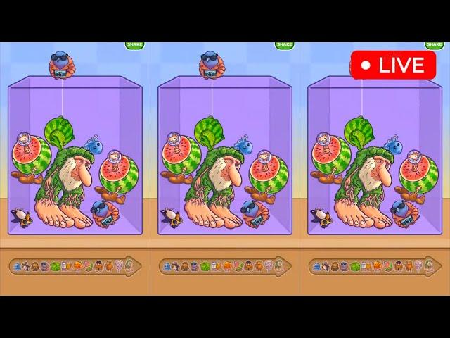 Merge Fellas Italian Brainrot Live Gameplay 71