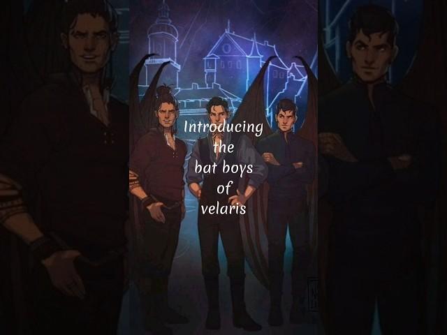 Bat boys of Velaris || Acotar