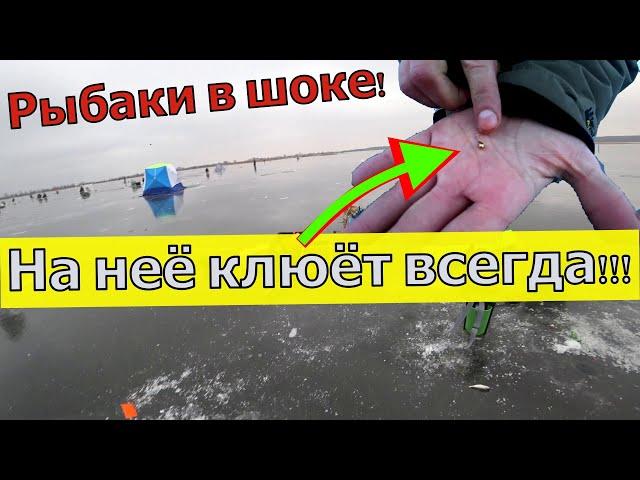 НА НЕЁ КЛЮЁТ ВСЕГДА! Золотая мормышка для рыбалки. Мормышка на окуня.