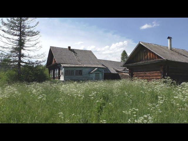 Недавно заброшенная деревня в глубинке. Крепкие и добротные дома. Кто купил домик в деревне?