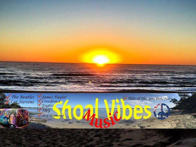 Shoal Vibrations a parody on Good Vibrations for our Vibes-Tribe [Official Music Video]