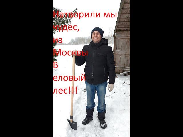 Натворили мы чудес, из Москвы в еловый лес!!! Вступление. Переезд на землю! Зачем и для чего?