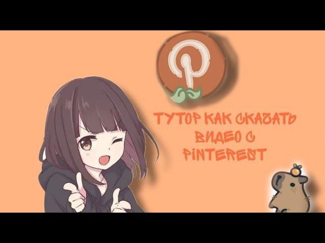 тутор как скачать видео с pinterest