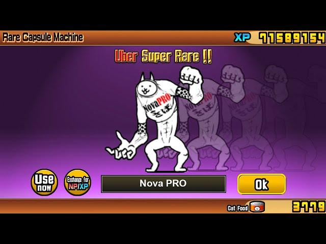 The Battle Cats - Enter Nova PRO UNIT!