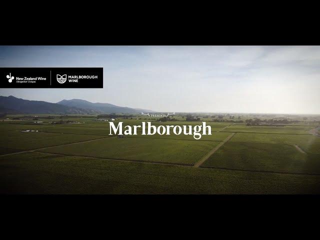 Marlborough Wine Region