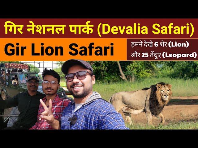 Gir Lion Safari | Gir National Park - Davalia Safari | Jungle Safari | Sasan Gir Gujarat | Wildlife