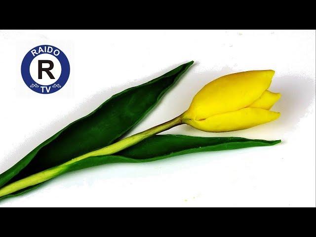 MODELING CLAY TULIP. HOW TO SCULPT A TULIP FROM MODELING CLAY?  | #RAIDOTV