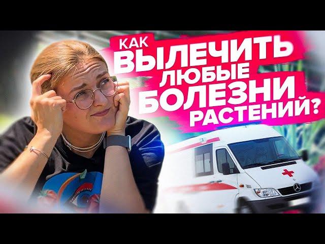 КАК ДЕШЕВО ВЫЛЕЧИТЬ ЛЮБЫЕ БОЛЕЗНИ РАСТЕНИЙ?