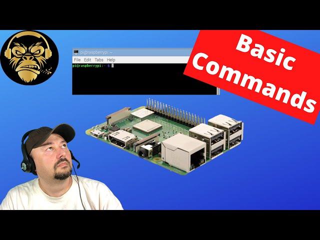 Basic Raspberry Pi Linux Commands - TheSmokinApe