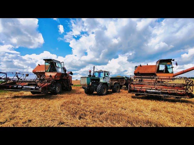 Жнива в дві НИВИ СК-5Ковтаємо гектари як лелека жабуТ-150К не глохне від скорості НИВ