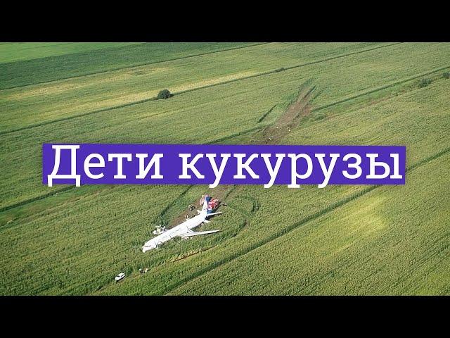 А 321 emergency landing in a cornfield. What could the flying heroes hide?