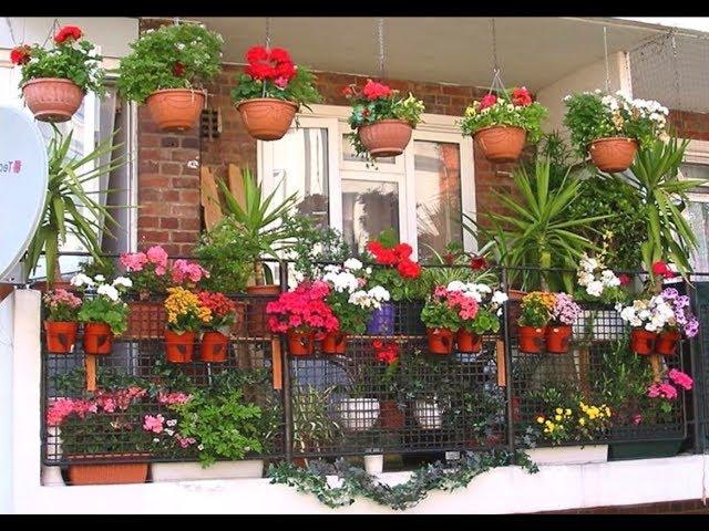 70 Creative  Home Gardening Ideas | Small Garden Design Ideas