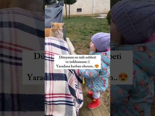 Dünyanın en tatlı sohbeti.  #kurban #kedi #cat #sohbet #short #tatlı #dünya #yaradan #kediseverler