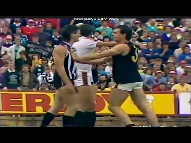 AFL Fight/Melee 1988 Grand Final Port Adelaide VS Glenelg SANFL