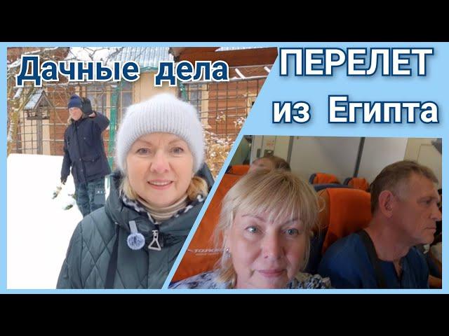 На даче гребем снег  Деревенский тариф в СНТ.Перелет из Египта. Собака в самолете ОБЫСК в Хургаде