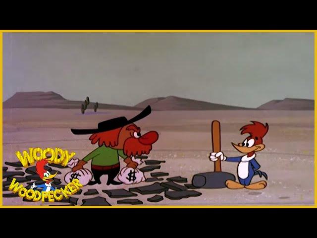 Woody Woodpecker | Packin Woodpecker | Full Episodes