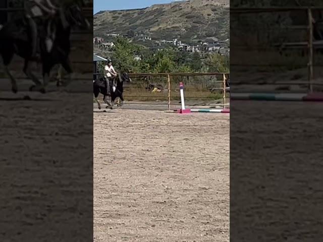 Vega training for barrel racing with a really weird song.