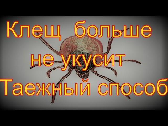 Энцефалитный Клещ больше не укусит Дедовский способ от клещей