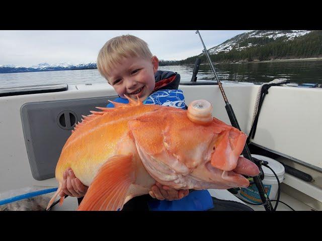 3 Days Camping in Alaska & Eating What We Catch - Shrimp, Rock Fishing and Halibut Catch & Cook