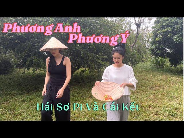 Phương Anh Phương Ý Đi Hái Sơ Ri và Cái Kết Bất Ngờ