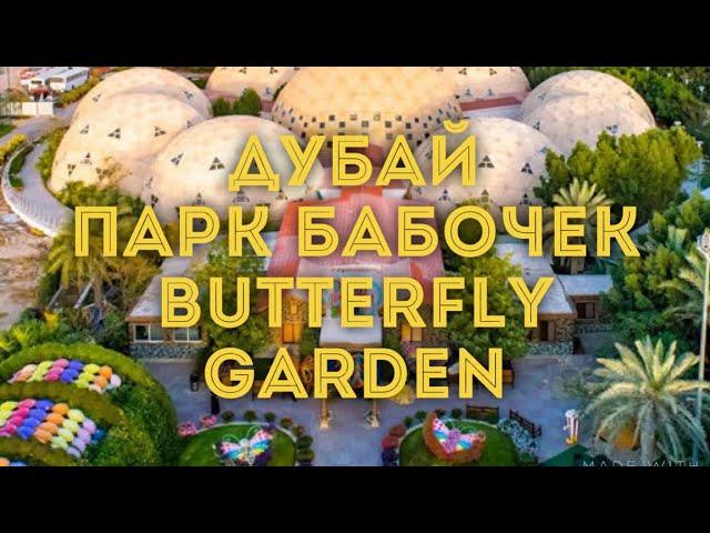 VLOG:Дубай/Парк бабочек - Butterfly Park/Куда сходить с ребёнком