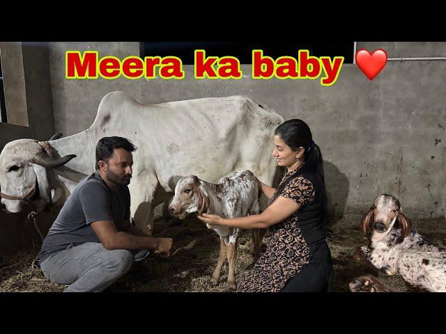 Meera ka baby aa gya raat ko