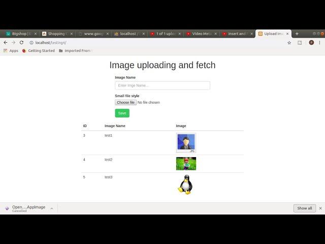 Insert and fetch image in database using php