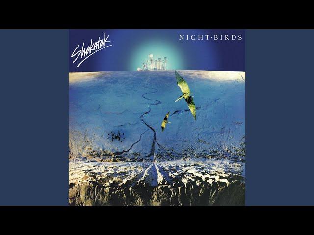 Night Birds