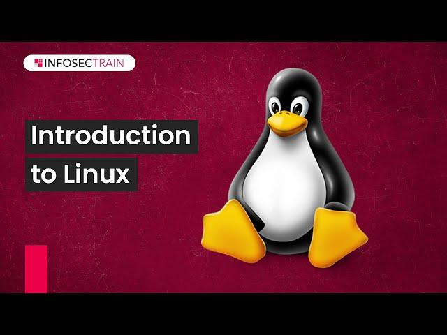 Introduction to Linux |  Mastering Penetration Testing from Installation to Advanced Techniques!