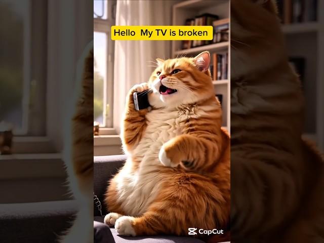 Calling master sheep to come to fix my TV #catstory #aicat #cuteanimal