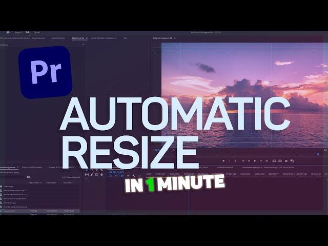 Resize Images in Premiere Pro (The Fast Way) 1 Minute Tutorial