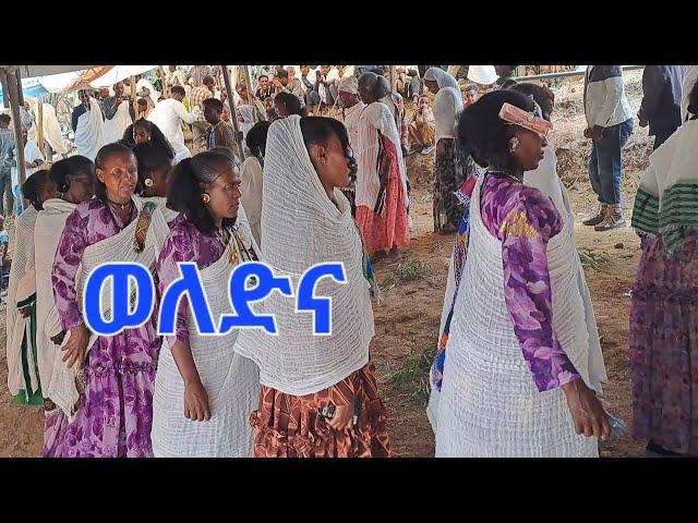 ደስ ልብል ኩዳ ምስ ተወለድቲ ሓይቆ ዳ ማይኖ  ኢረረን ጆን ብርሃነ jon birhane