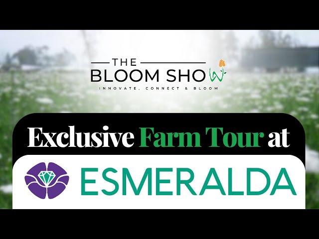  A Special Tour of Esmeralda Farms at Expo Flor Ecuador 2024!