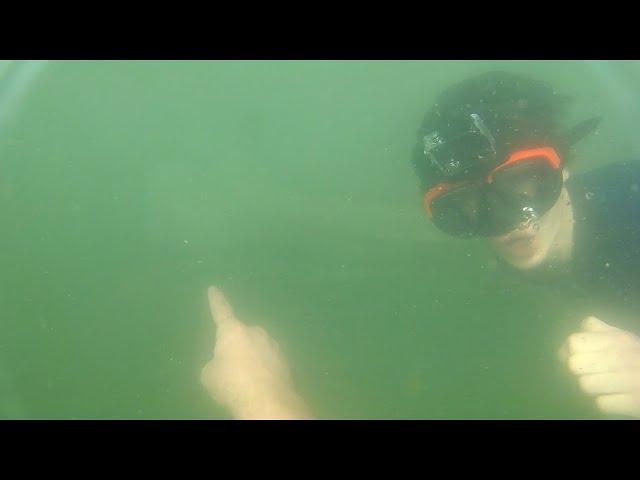 Big shark in UK waters caught on camera ! May 2020