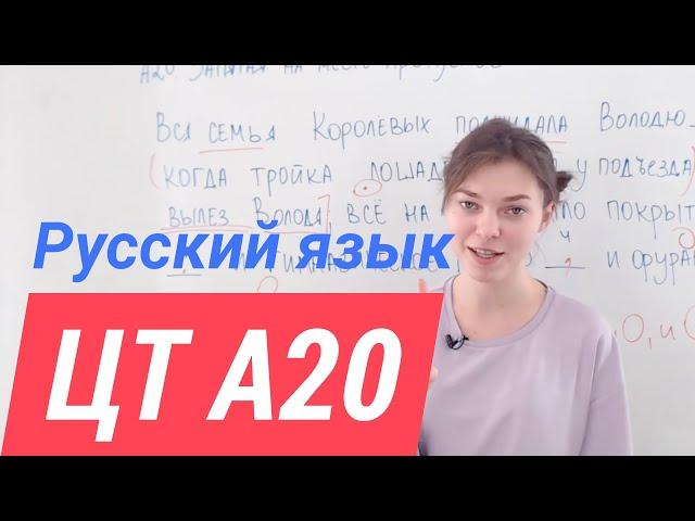 ЦТ А20. Пунктуация в предложениях с разными видами связи