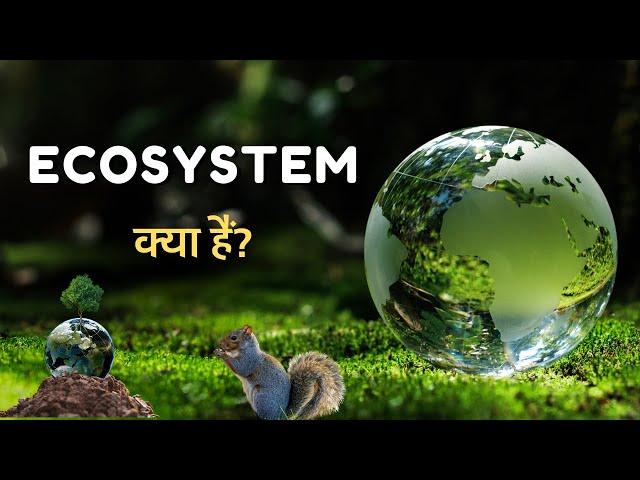 What is Ecosystem? – [Hindi] – Quick Support