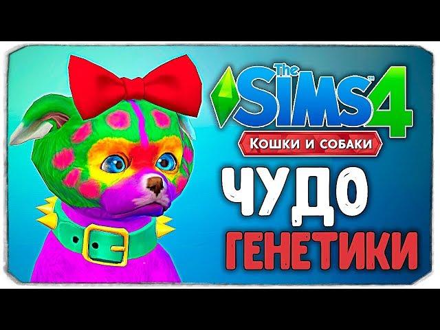 ЧУДО ГЕНЕТИКИ, ТАК МЫ ЕЩЕ НЕ СМЕЯЛИСЬ! - The Sims 4 "Кошки и Собаки"