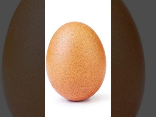 This Is Just An Egg