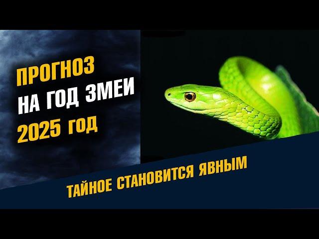 Прогноз на год Змеи Что будет в 2025 году