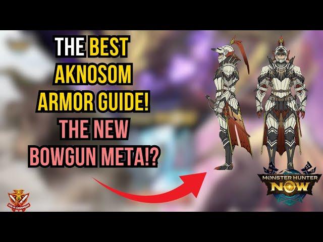 The BEST AKNOSOM ARMOR GUIDE! The NEW BOWGUN META!?