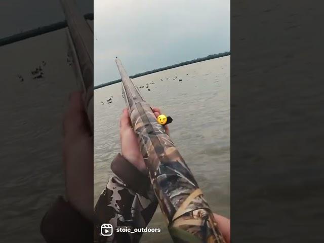 BEST DUCK HUNTING SHOT in the WORLD