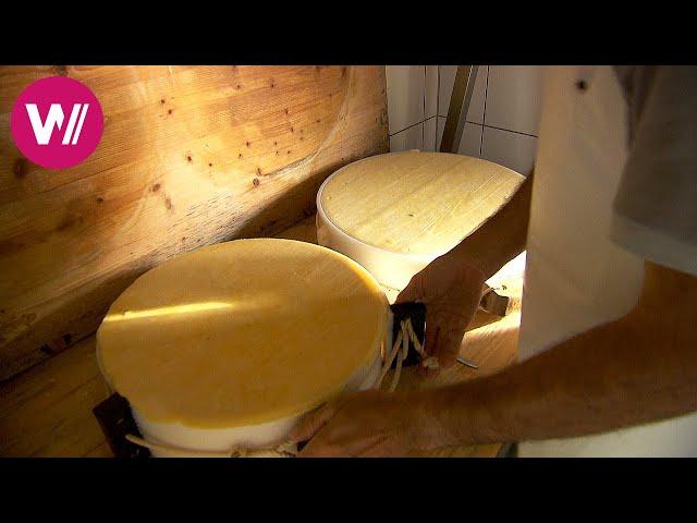 Alpine cheese, with the herbal aroma of the Vorarlberg mountains