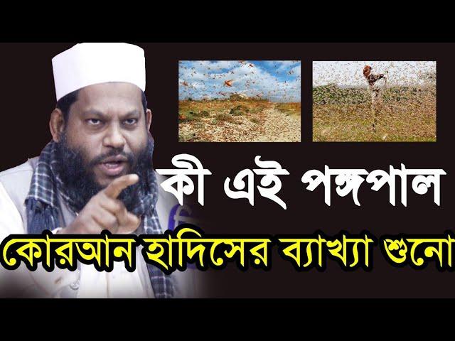 কি এই পঙ্গপাল কোরআন হাদিসের ব্যাখ্যা শুনো । Islamic Life Media