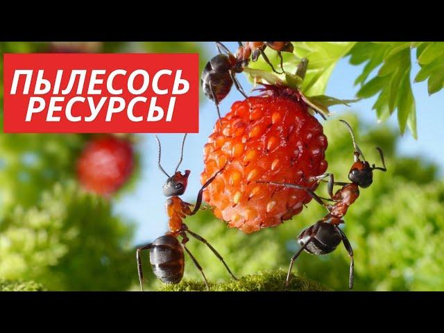 Самый эффективный сбор ресурсов в игре The Ants Underground Kingdom