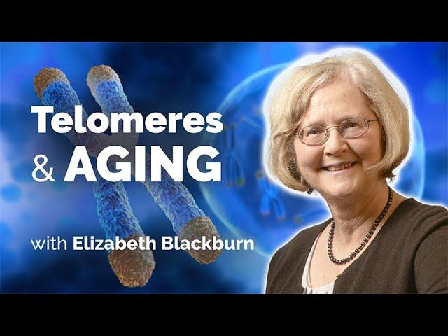 Explorations of Telomere Biology in the Context of Human Aging with Elizabeth Blackburn