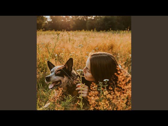 Without You (Acoustic Version)