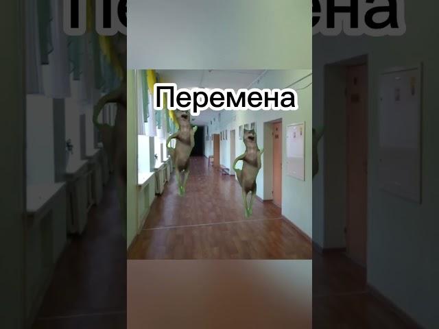 Пов: день в школе #котики #футаж #пов #мойдень